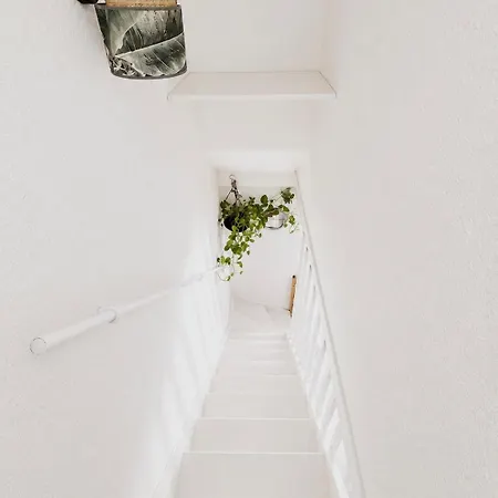 Maison Bord De *